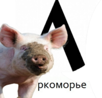 lCNRS7Ne.жипег