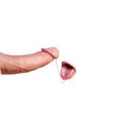 iXlxWHmJ.жипег