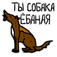 Zu99g5UE.жипег