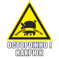 9L1RsAPV.жипег