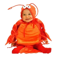 H8wwUyrt.жипег