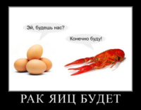 dfW98bVC.жипег