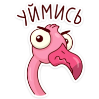 hJQmtjmJ.жипег