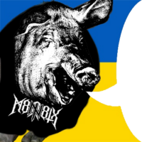 KZFS3AZP.жипег