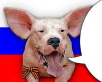 KgkdI8G7.жипег