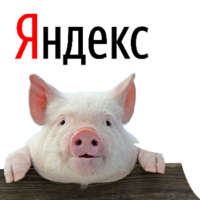 DoPKajs7.жипег