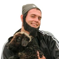 392x392
