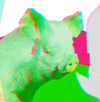uvhPggcc.жипег
