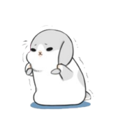 259x224