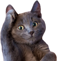 LoUwozdq.жипег
