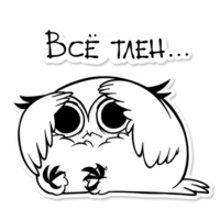 Z0BNCbaA.жипег