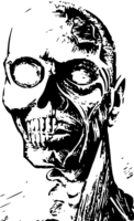 NGhwye84.жипег
