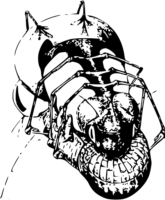 OdYYKgDd.жипег