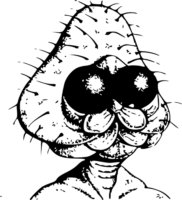 467x512
