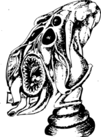 jyrotUrt.жипег