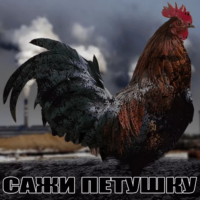 RvZAmjyN.жипег