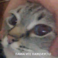 0dSowuAx.жипег
