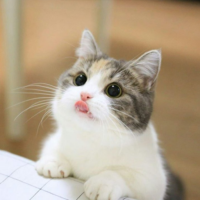 UF6qWBTv.жипег