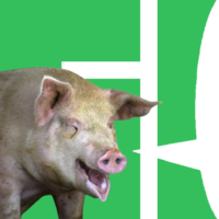 512x512