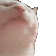 mIAjTYAK.жипег