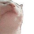 16nWex1S.жипег