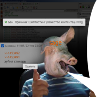 456x456
