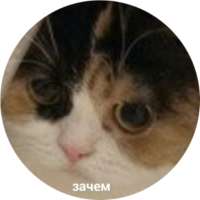 W9dH4Y4u.жипег