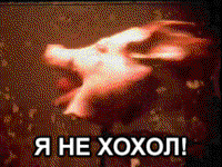 sJfjbXit.жипег