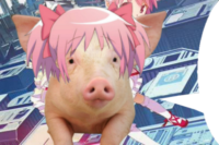 512x343