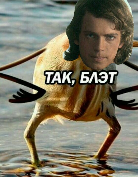 559x720