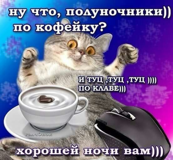 552x511