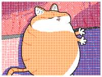320x240