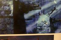 1213x800