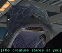 392x336