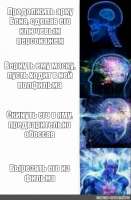 480x732