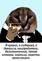 400x572