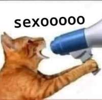 530x517
