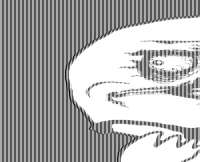 300x243