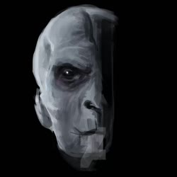 1080x1080
