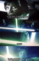 499x768