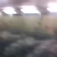 360x360