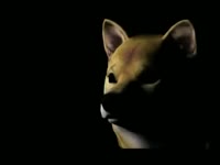 480x360