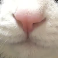 900x900