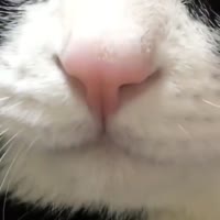 900x900
