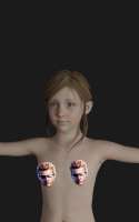500x800
