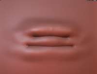 1000x761