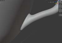 1241x859