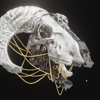720x720