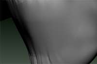1301x862