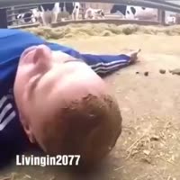 360x360